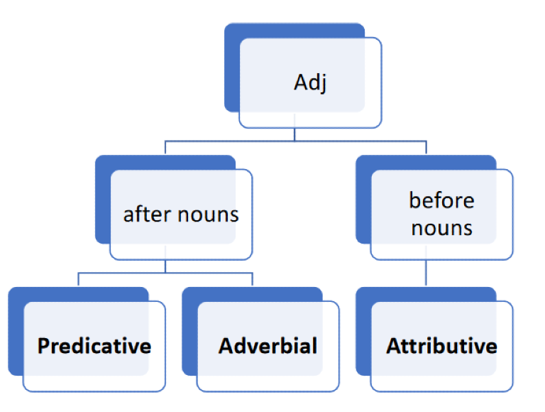 Adjectives