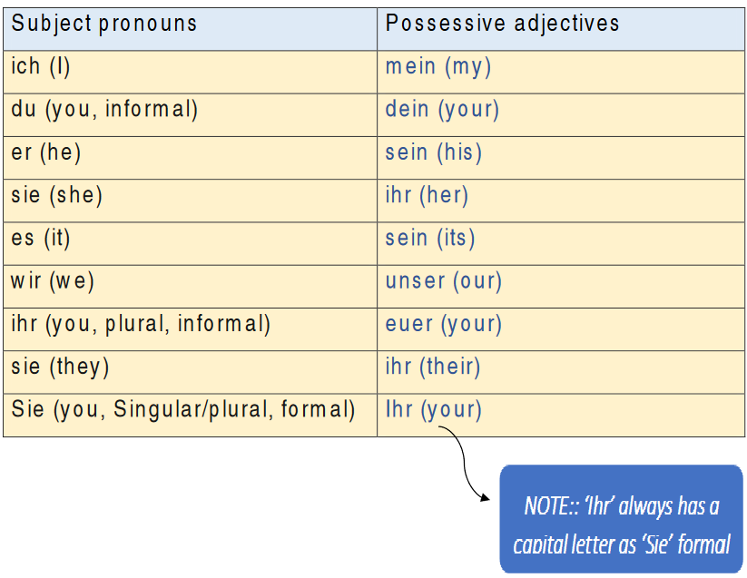 Possessive adjectives